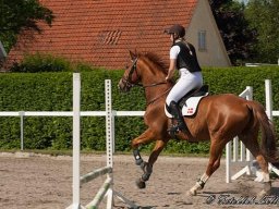 img-98671-572